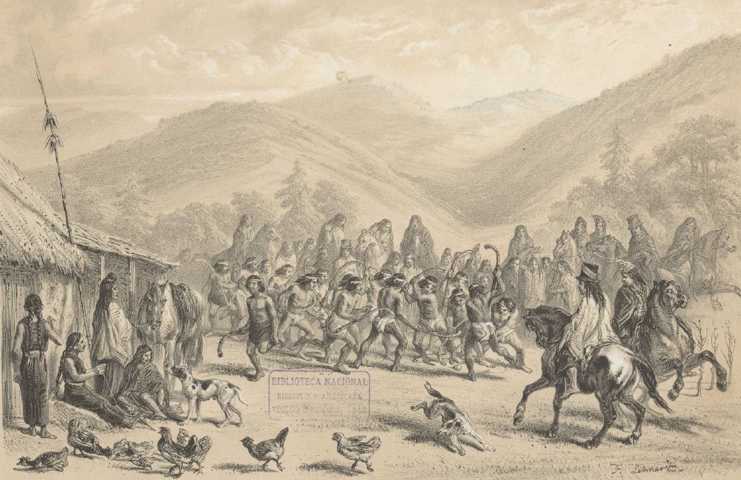 Mapuches