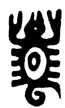 tartaruga